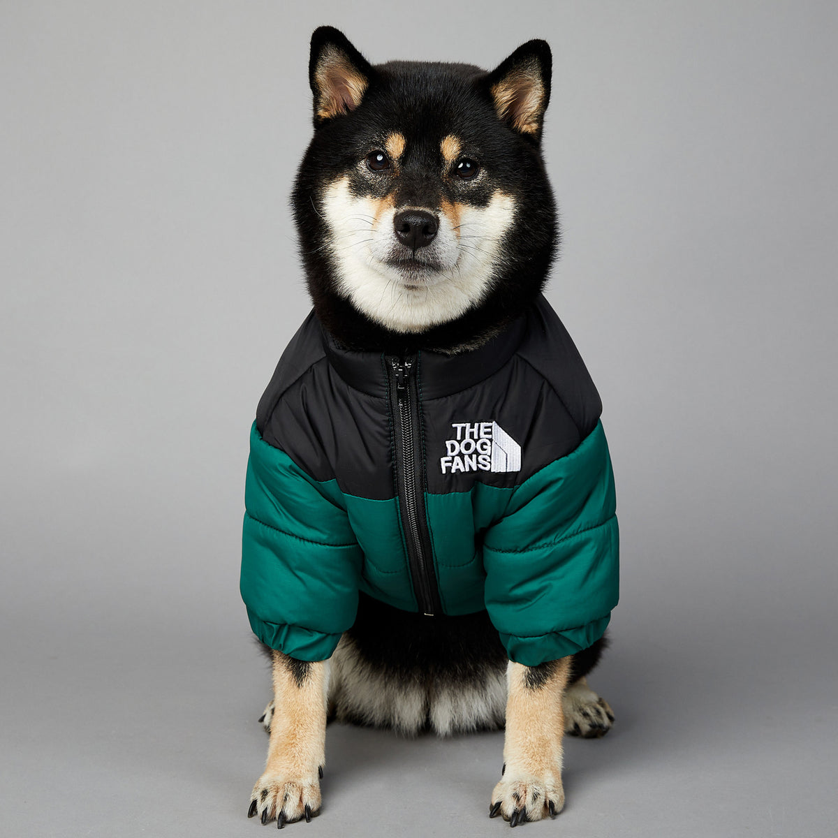 Warm Puffer Coat for your Best Friend